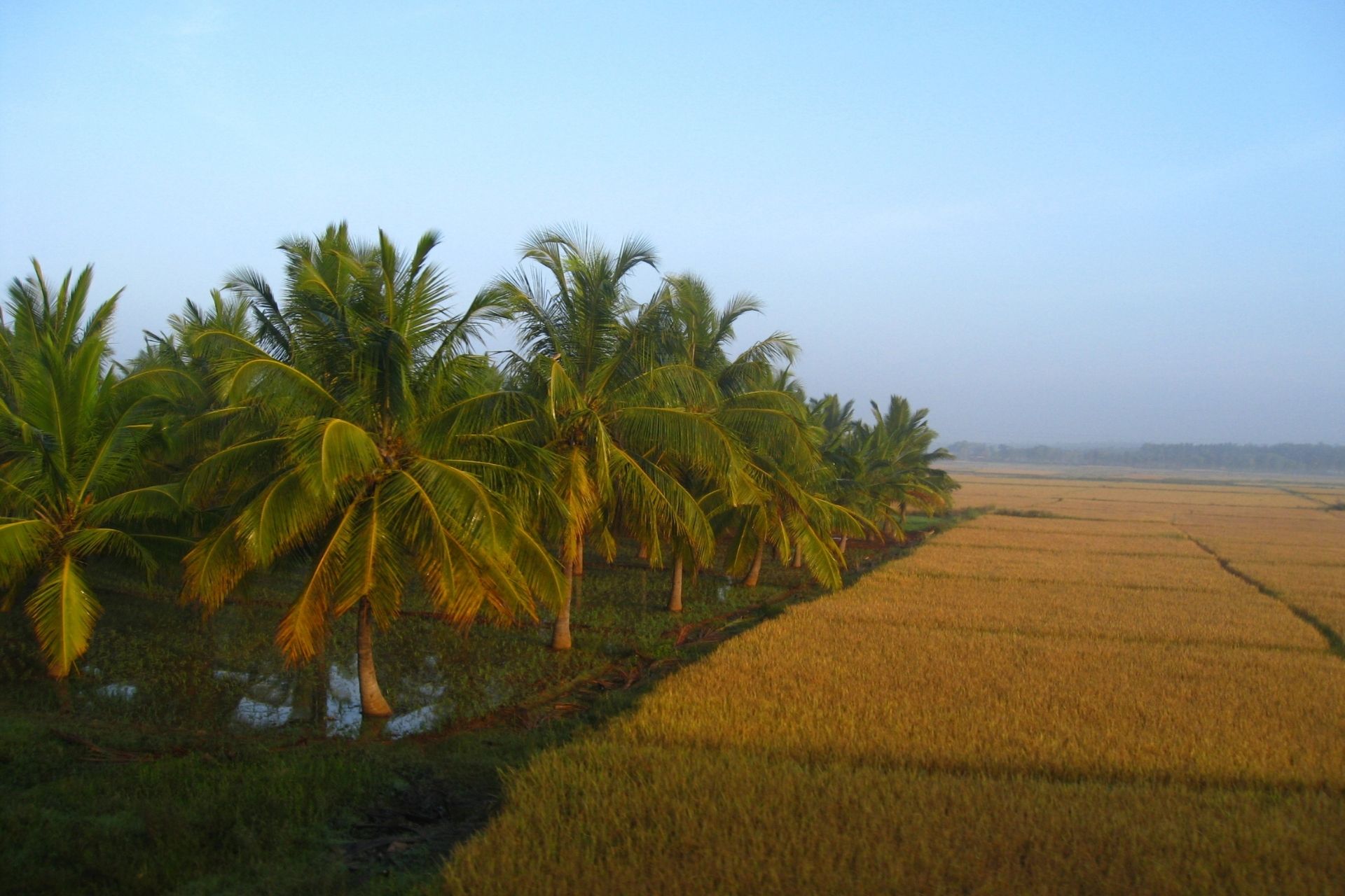 Mysore to Arsikere Car Rental