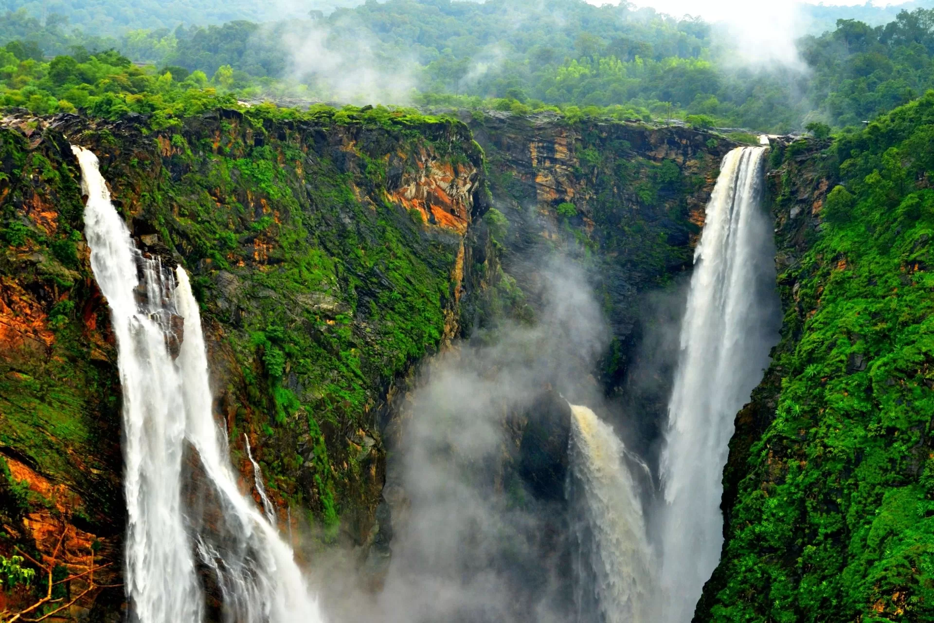 Mysore to Jog Falls Car Rental w/ Price from Mysore Wheels