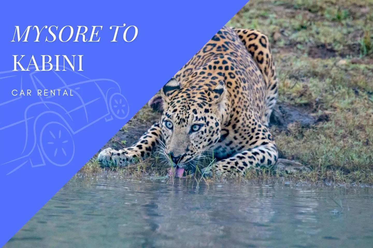 Mysore to Kabini Car Rental