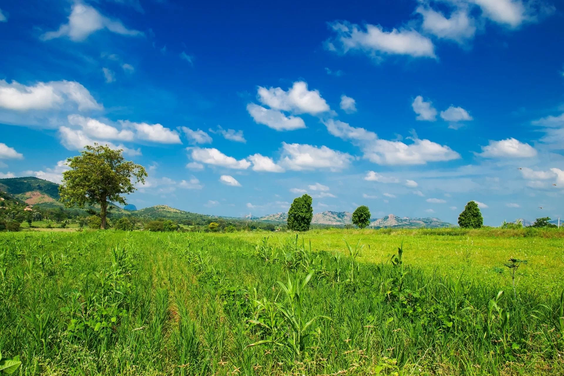 Mysore to Kanakapura Car Rental w/ Price from Mysore Wheels