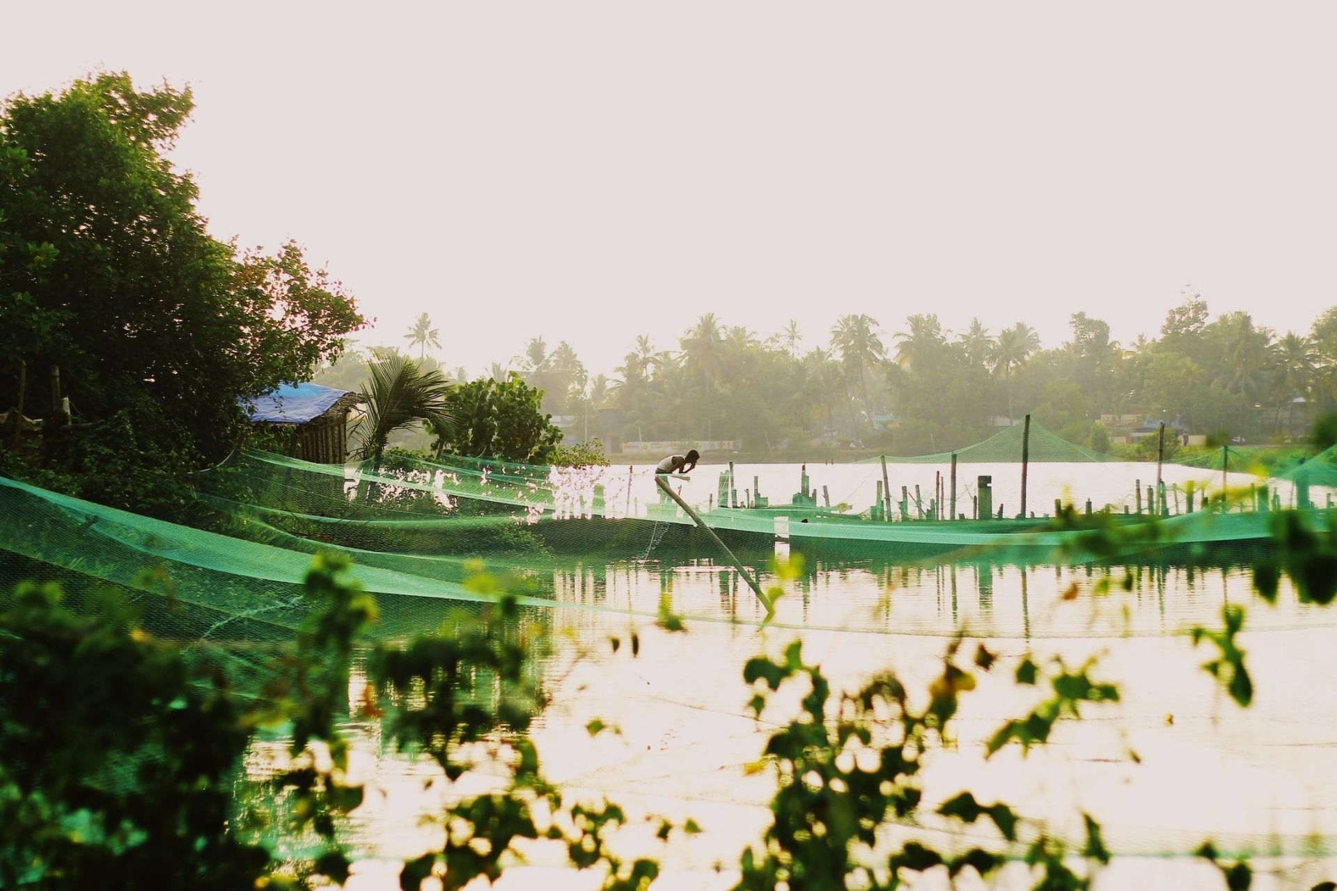 Mysore to Kochi Car Rental