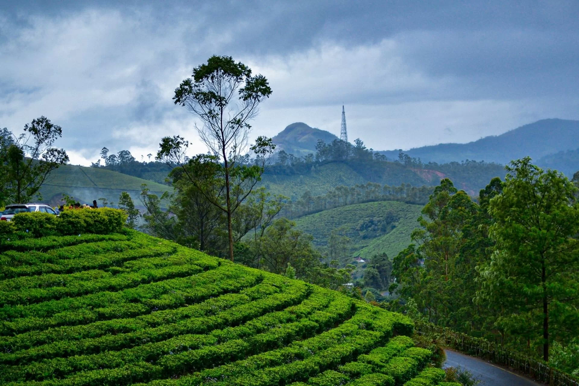 Mysore to Munnar Car Rental w/ Price from Mysore Wheels