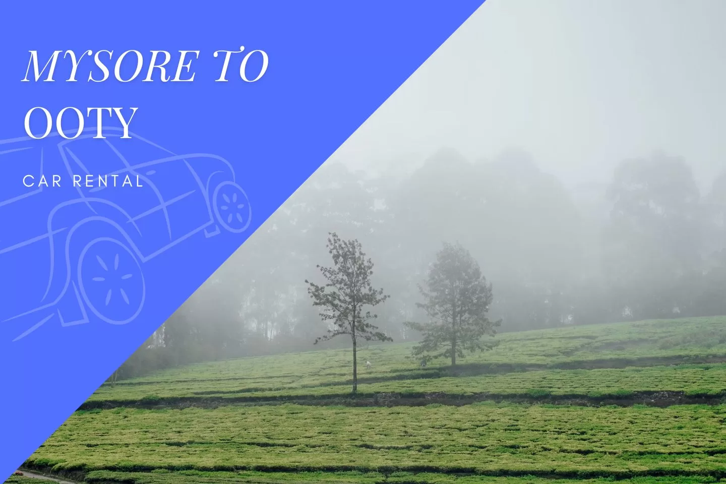 Mysore to Ooty Car Rental